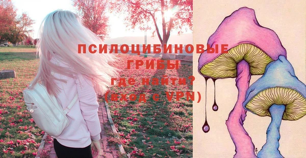 бошки Володарск