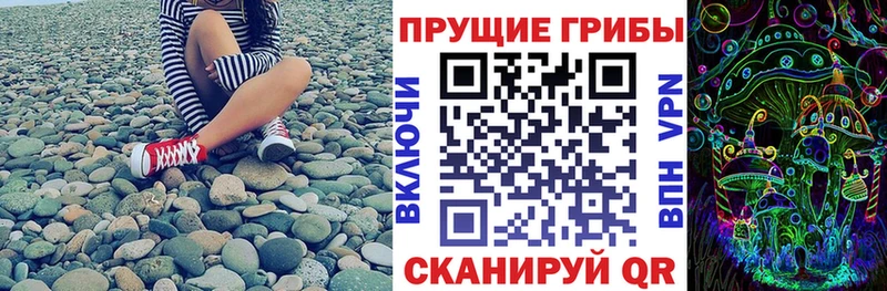 купить закладку  Зеленогорск  Псилоцибиновые грибы Magic Shrooms 