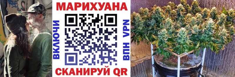 Каннабис сатива  Зеленогорск 